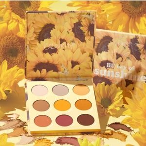 Lil Ray of Sunshine eye shadow palette